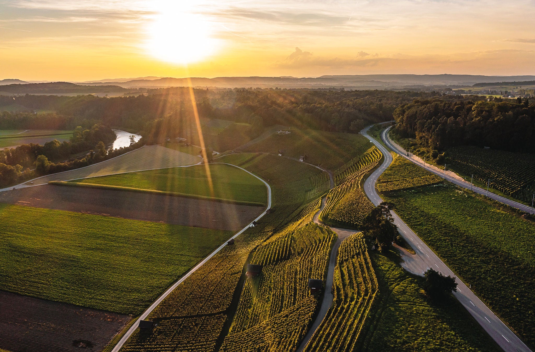 Sonnenuntergang über Rebberg.
