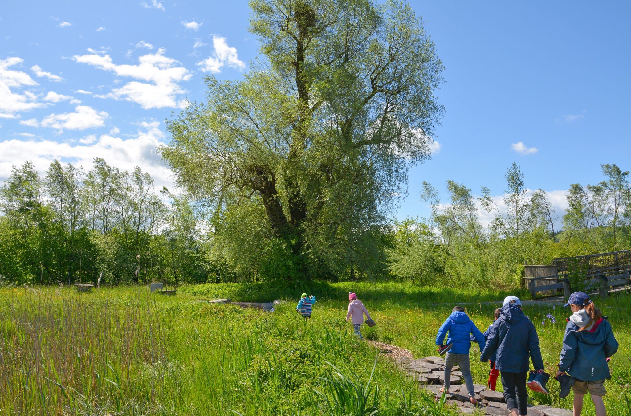 Barfusspfad in der Greifensee Stiftung Silberweide