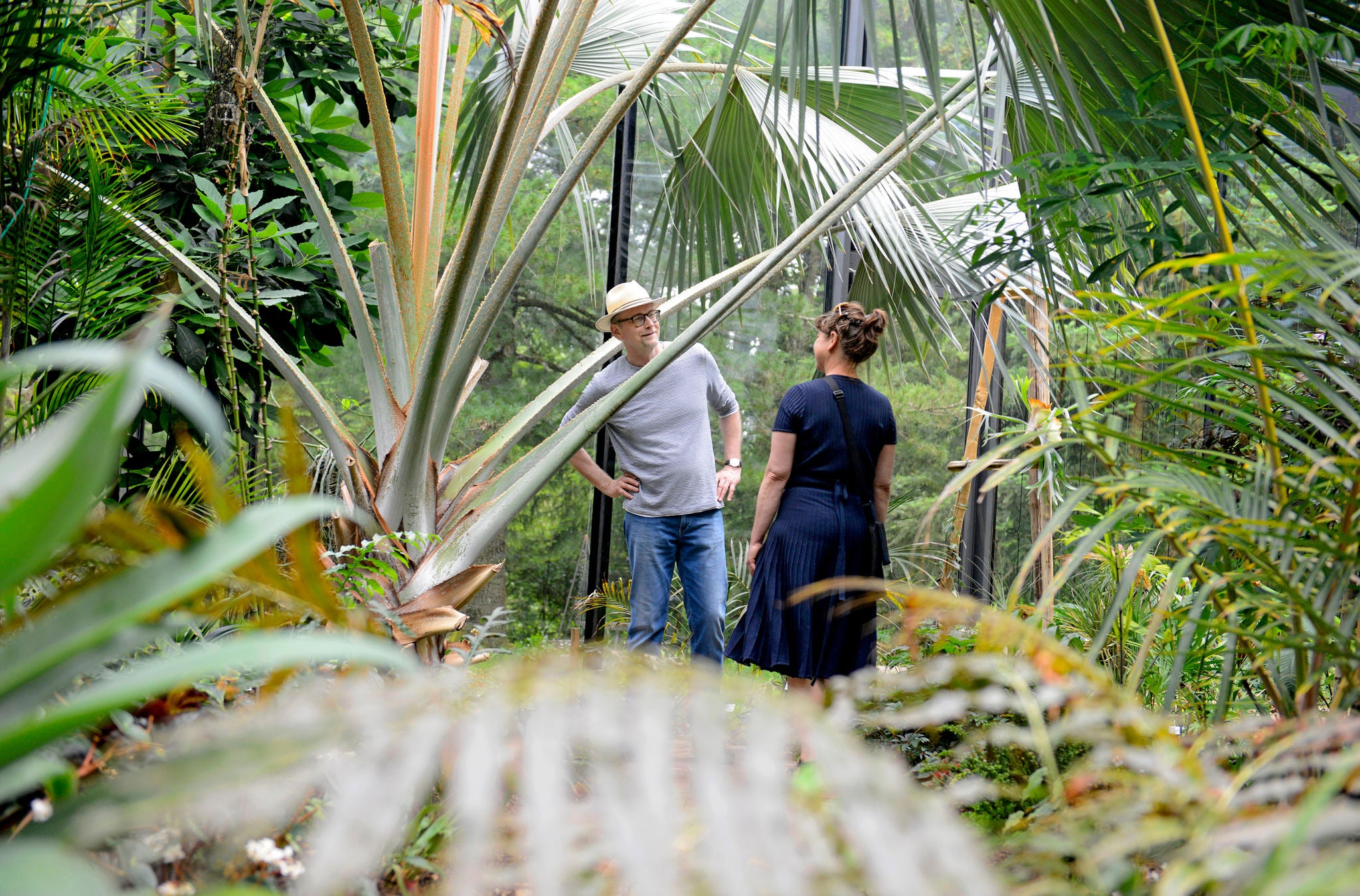 Zwei Personen stehen im botanischen Garten Grüningen umgeben von Pflanzen. 