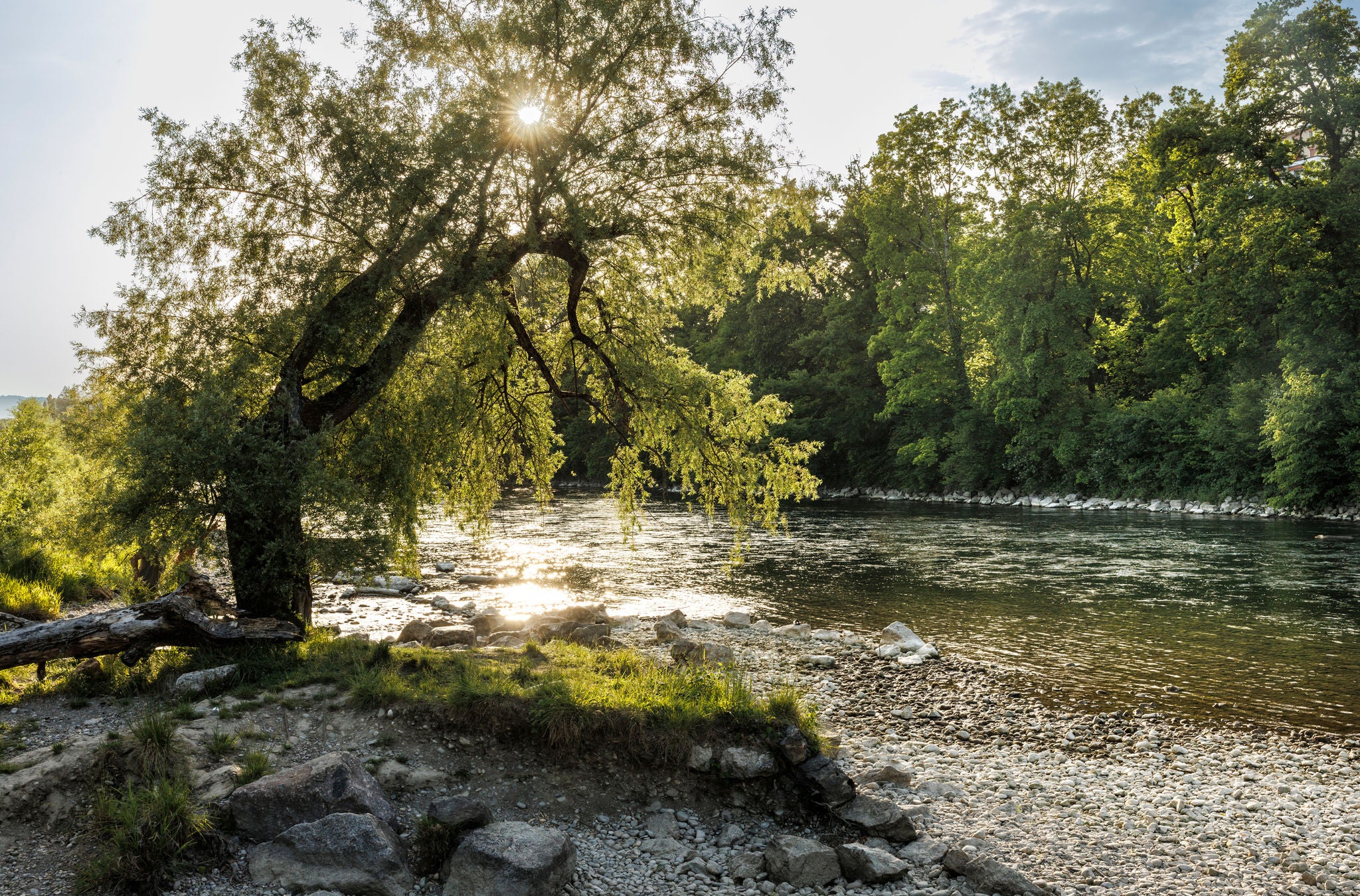 Limmatauen auf der Via Natura der Zürcher Wanderwege. 