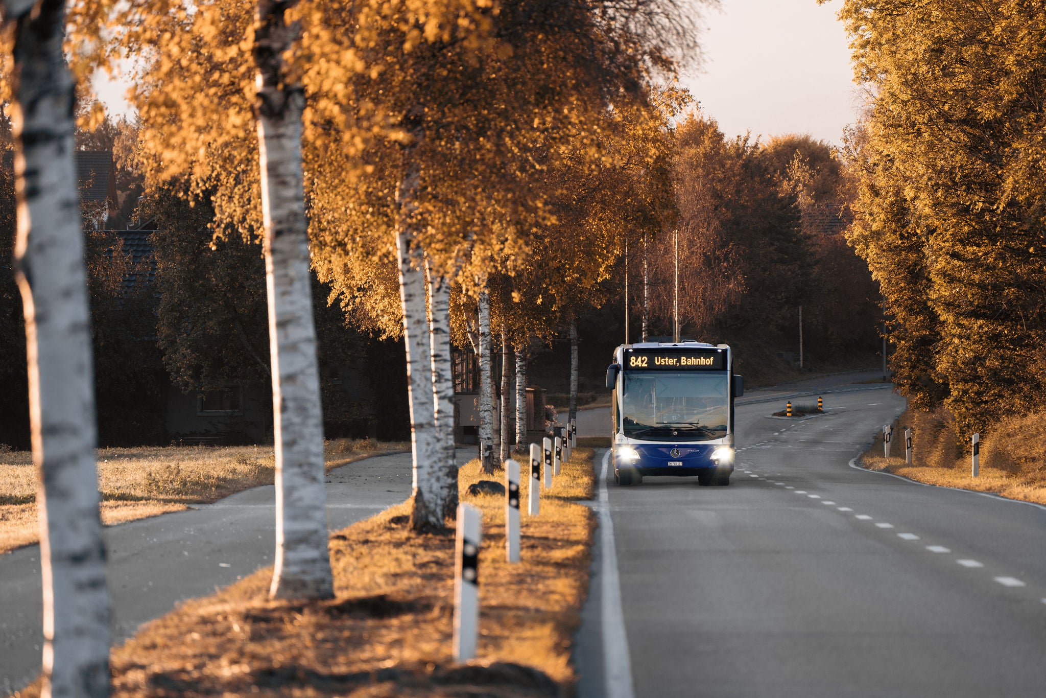 vzo bus in herbstlandschaft