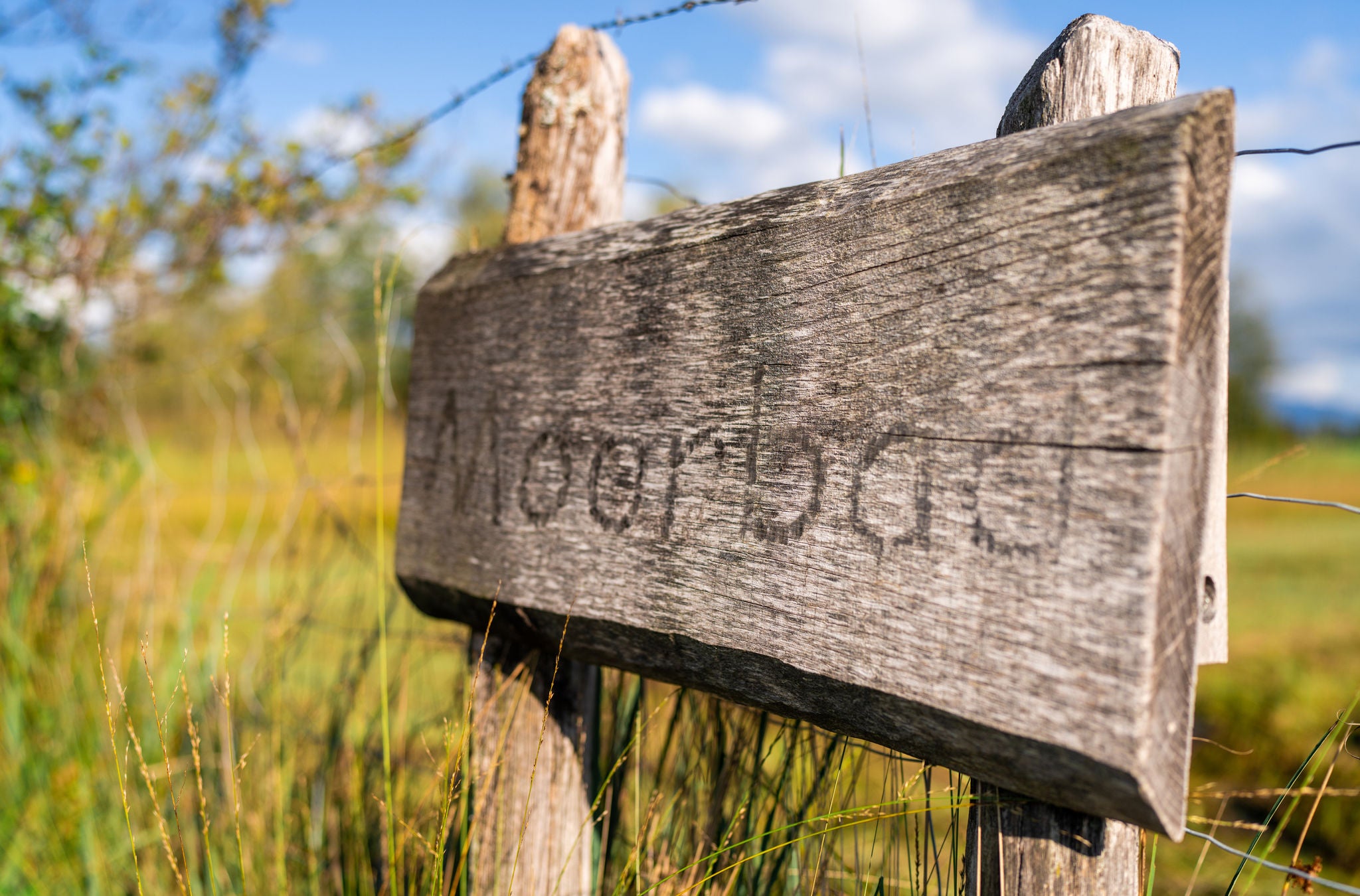 Holzschild "Moorbad" beim Egelsee im Zürcher Oberland. 