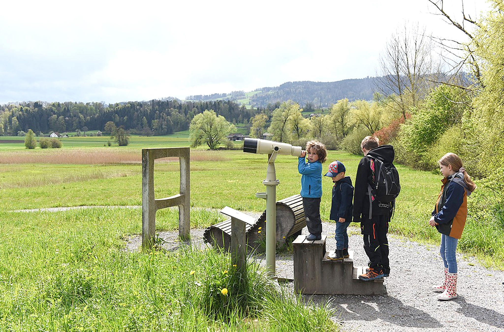 Besucherinnen und Besucher halten Ausschau