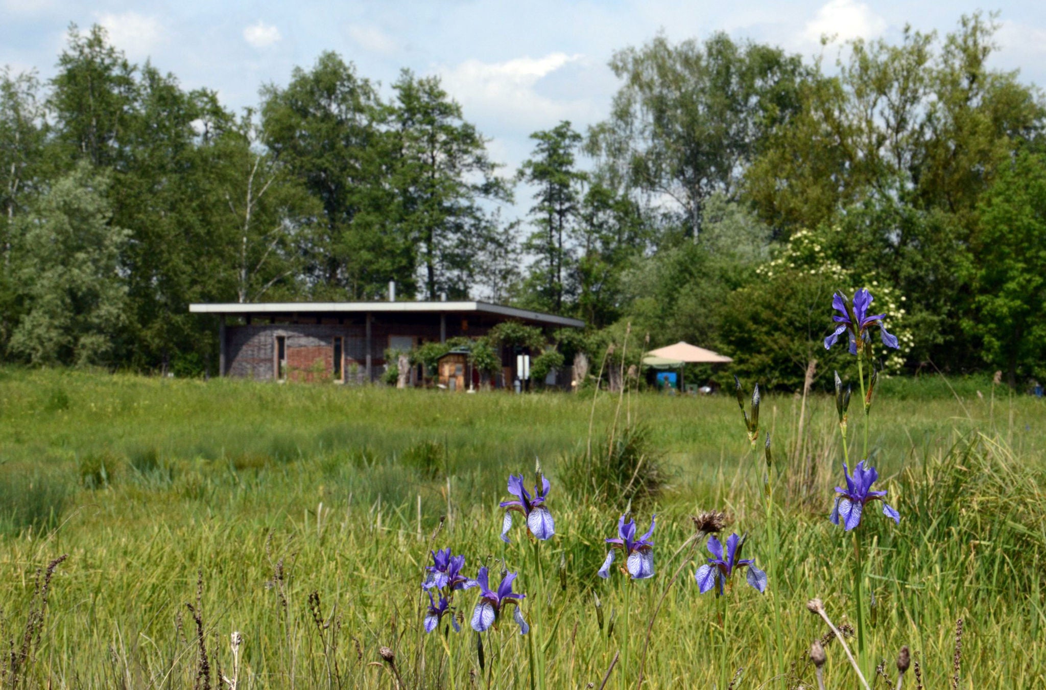 Natur bestaunen in der Naturstation Silberweide