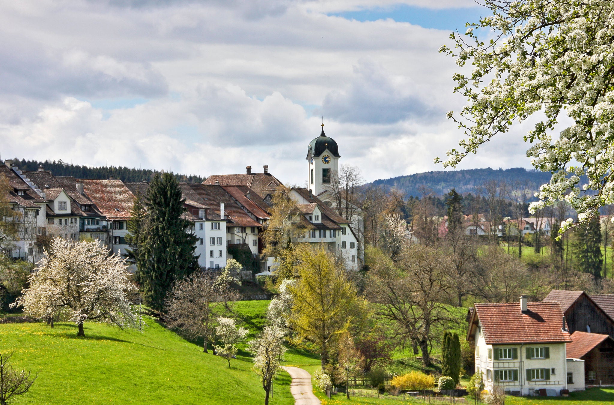 Häuser und eine Kirche auf einem Hügel in Grüningen. 