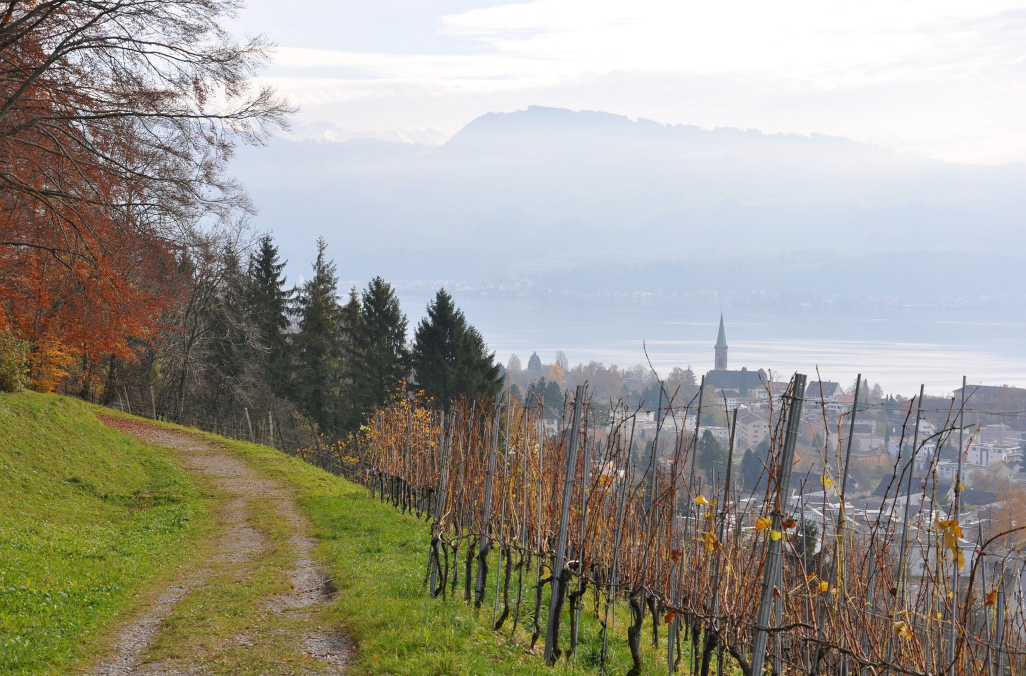 Aussicht auf den Zürichsee auf der Wanderung durch die Rebberge der Goldküste