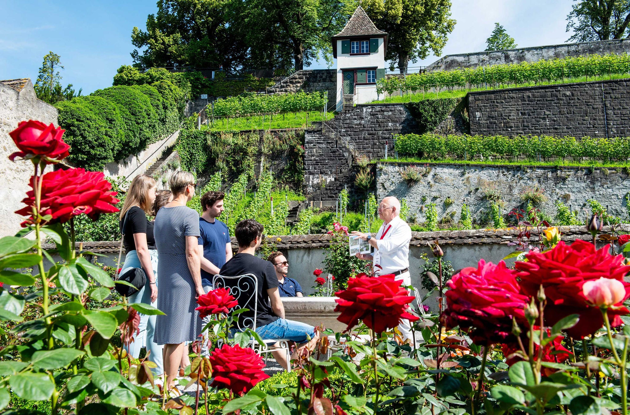 Der Tour Guide spricht im Rosengarten in Rapperswil