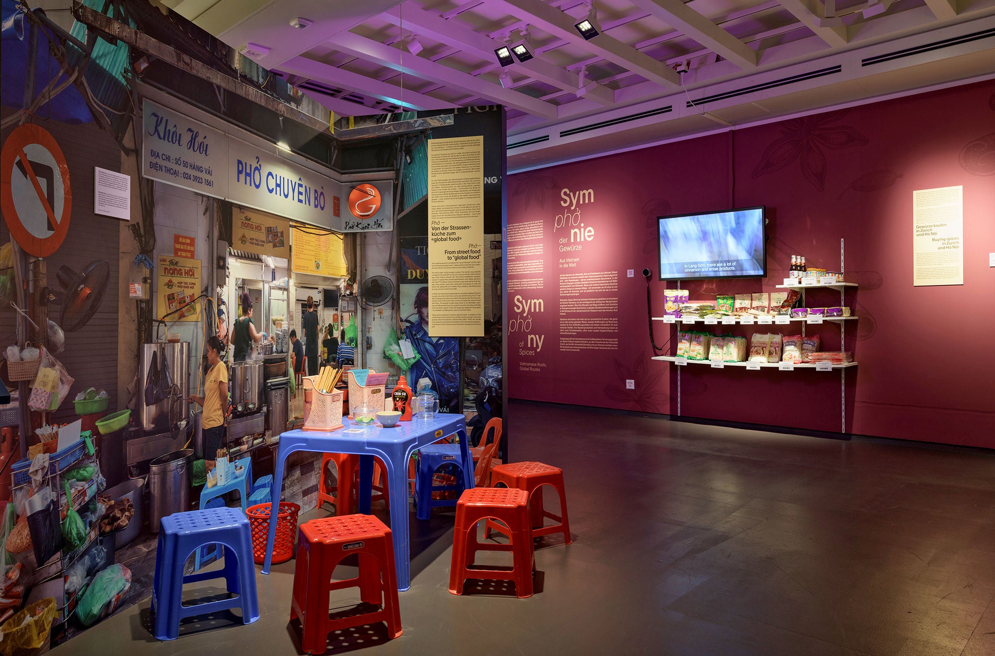 Rote und blaue Stühle stehen um einen Tisch im Völkerkundemuseum der Universität Zürich.
