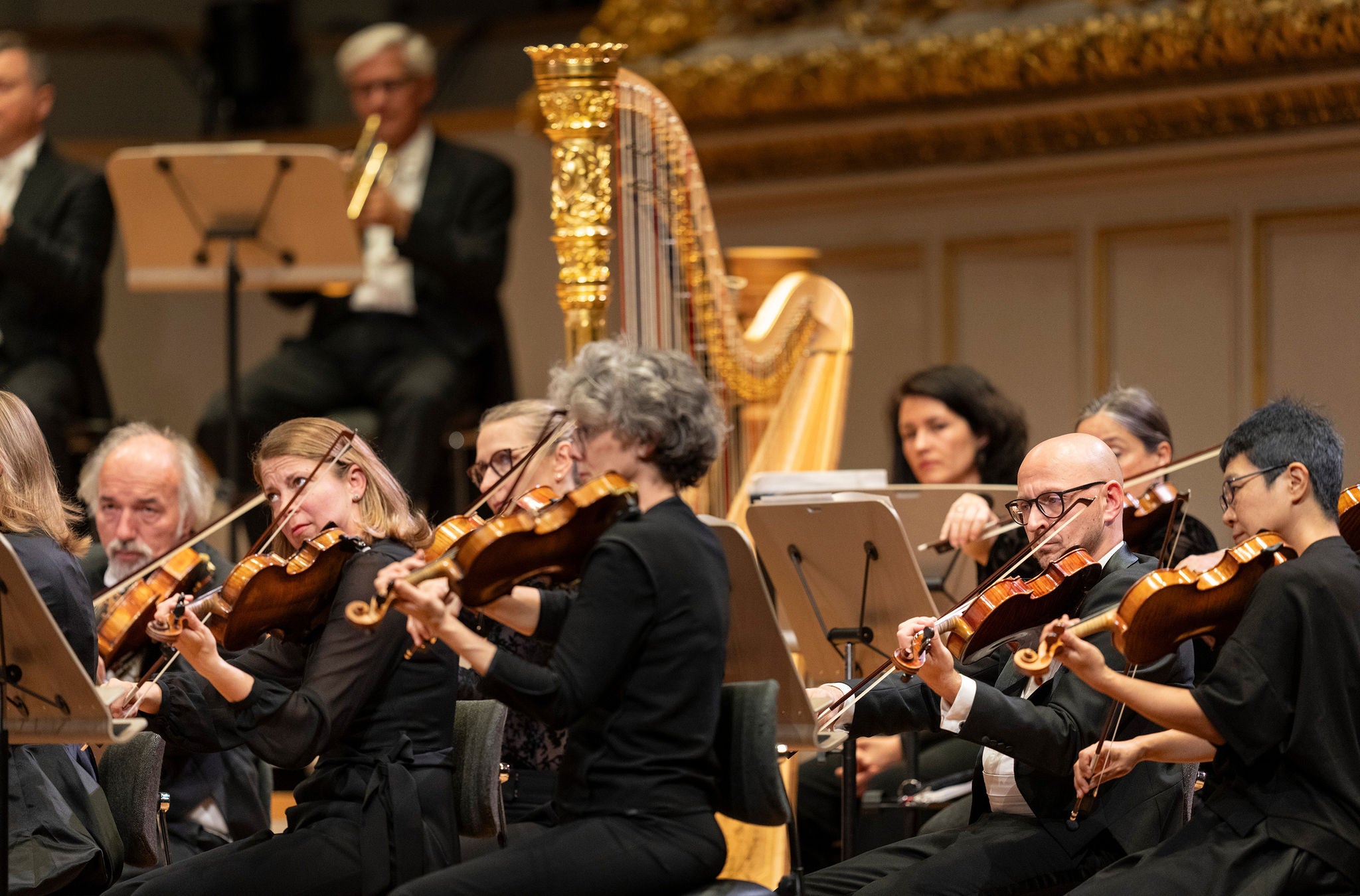 Geigen und Harfenspieler des Orchesters Tonhalle Zürich