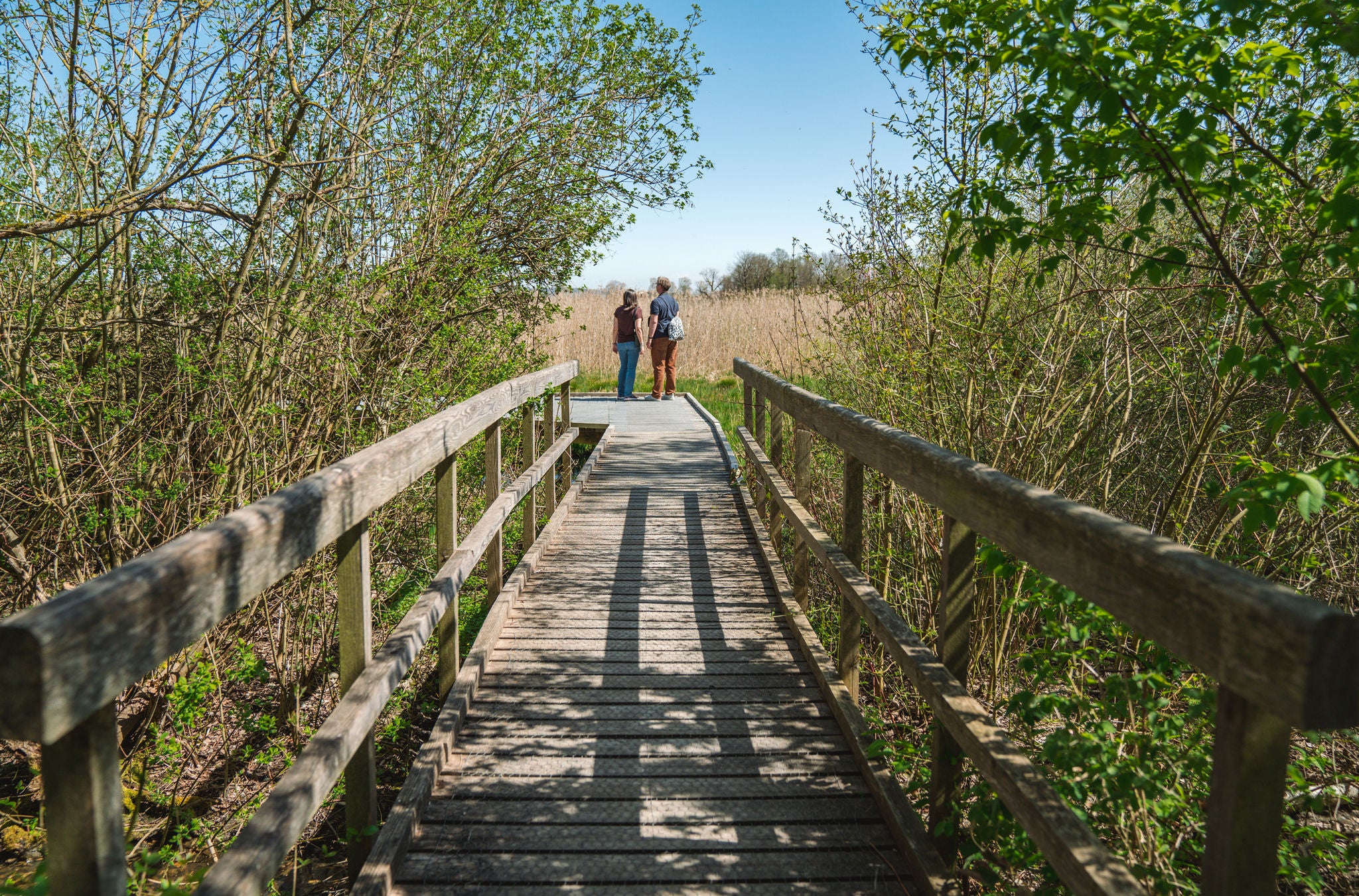 Ein Paar macht einen Ausflugs ins BirdLife Neeracherried.