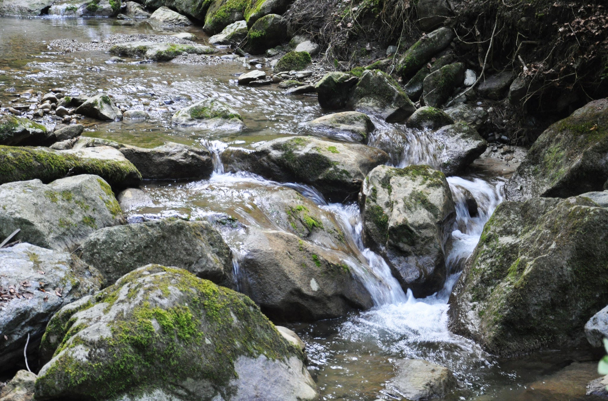 Wasser plätschert über Steine in einem Tobel.