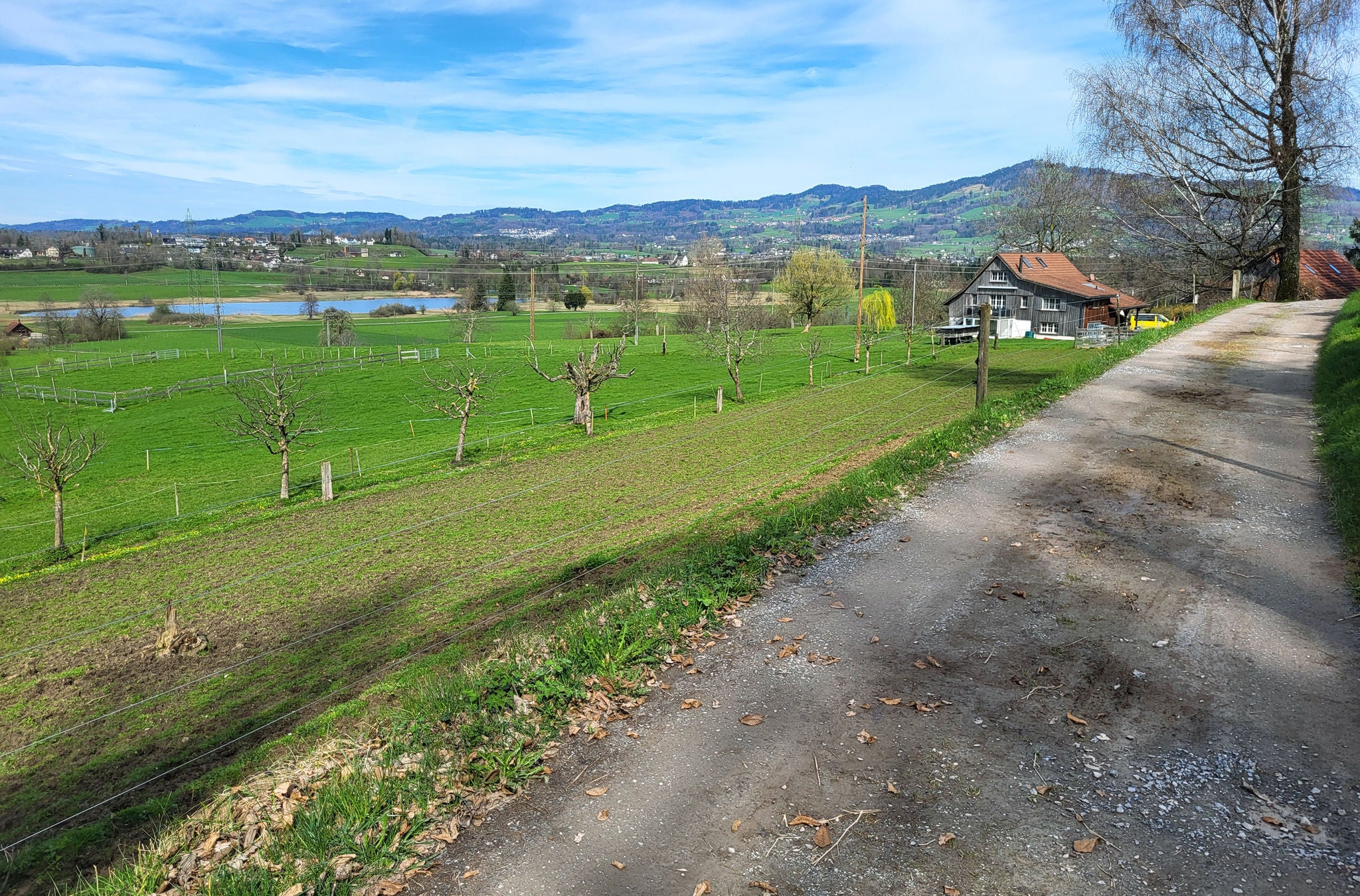 Grüne Wiese vor dem Egelsee im Zürcher Oberland. 