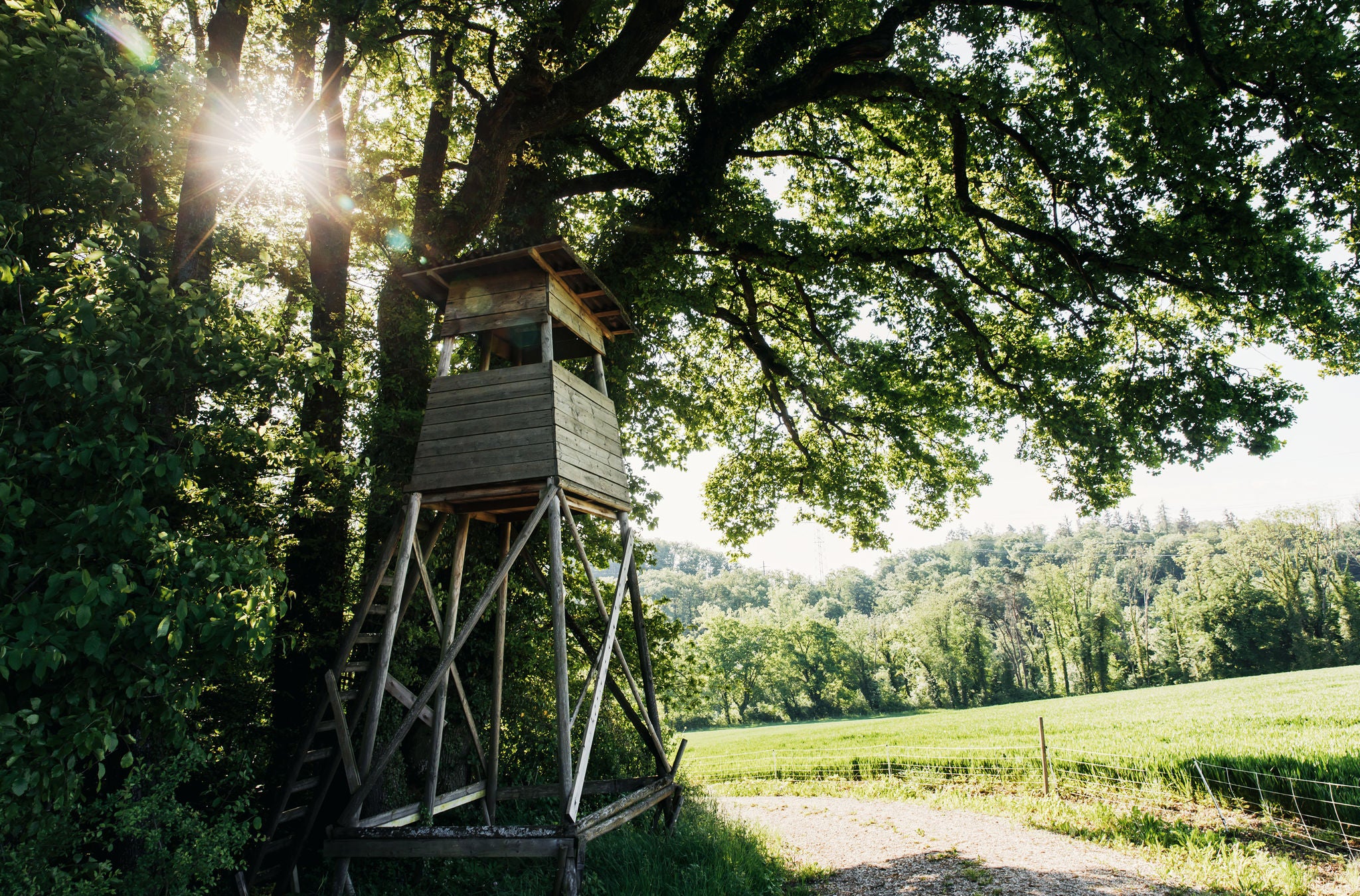 Ein Hochsitz auf der Via Natura der Zürcher Wanderwege im Schutzgebiet Glatt. 