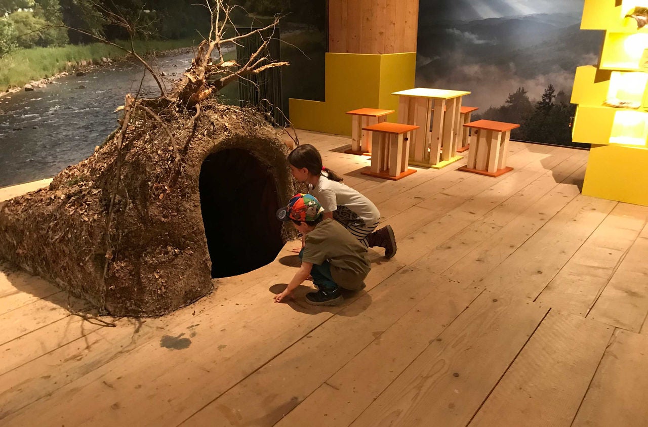 Kinder in der Ausstellung Dachsbau im Wildnispark Sihlwald