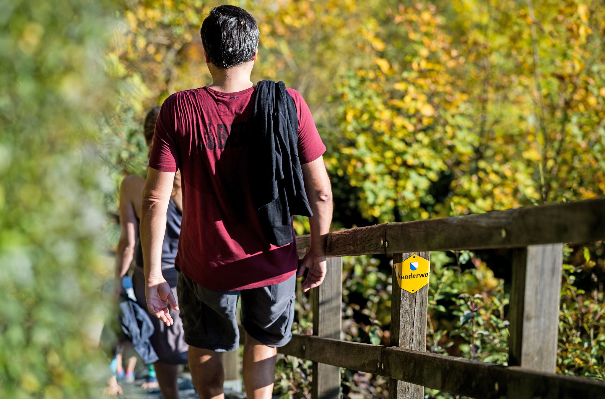 Wanderweg auf dem Uetliberg