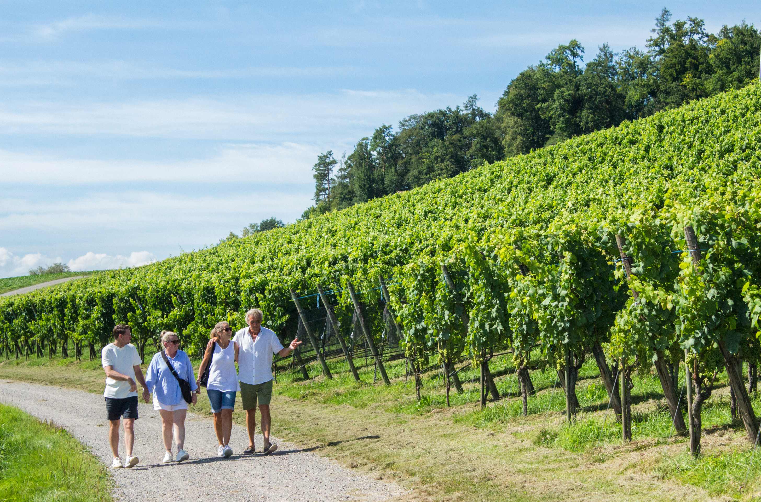 WEINWANDERUNGEN IM BUNDESLAND HESSEN visual data 2