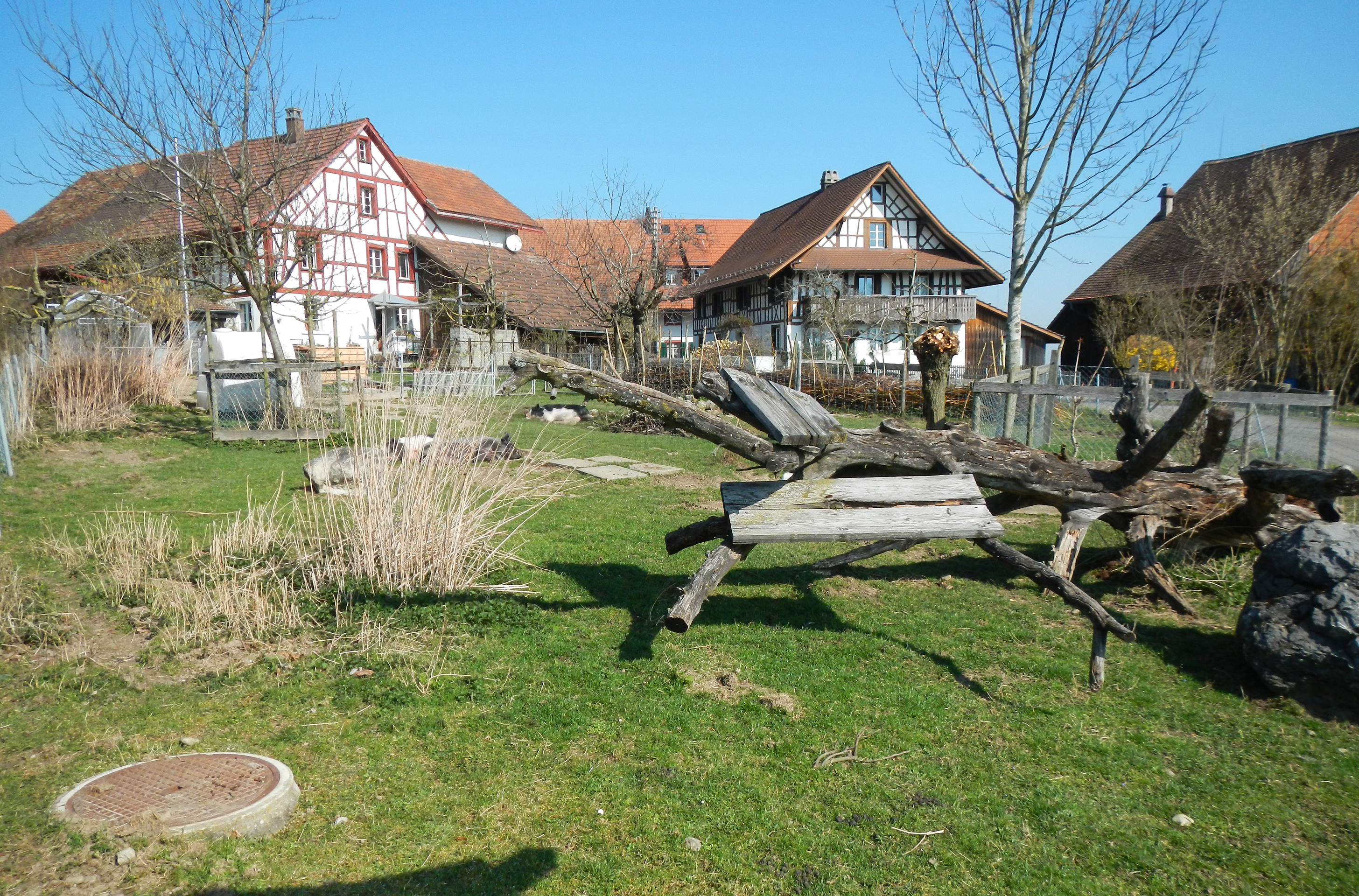 wanderung-von-bassersdorf-nach-w-lflingen-zvv