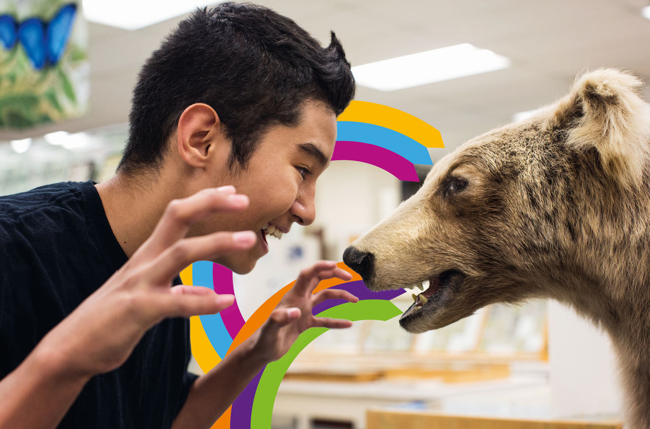 Jugendlicher und Bär mit ZVV-Grafikelementen Ein Jugendlicher steht einem ausgestellten Bär gegenüber, im Hintergrund sind farbige ZVV-Grafikelemente.