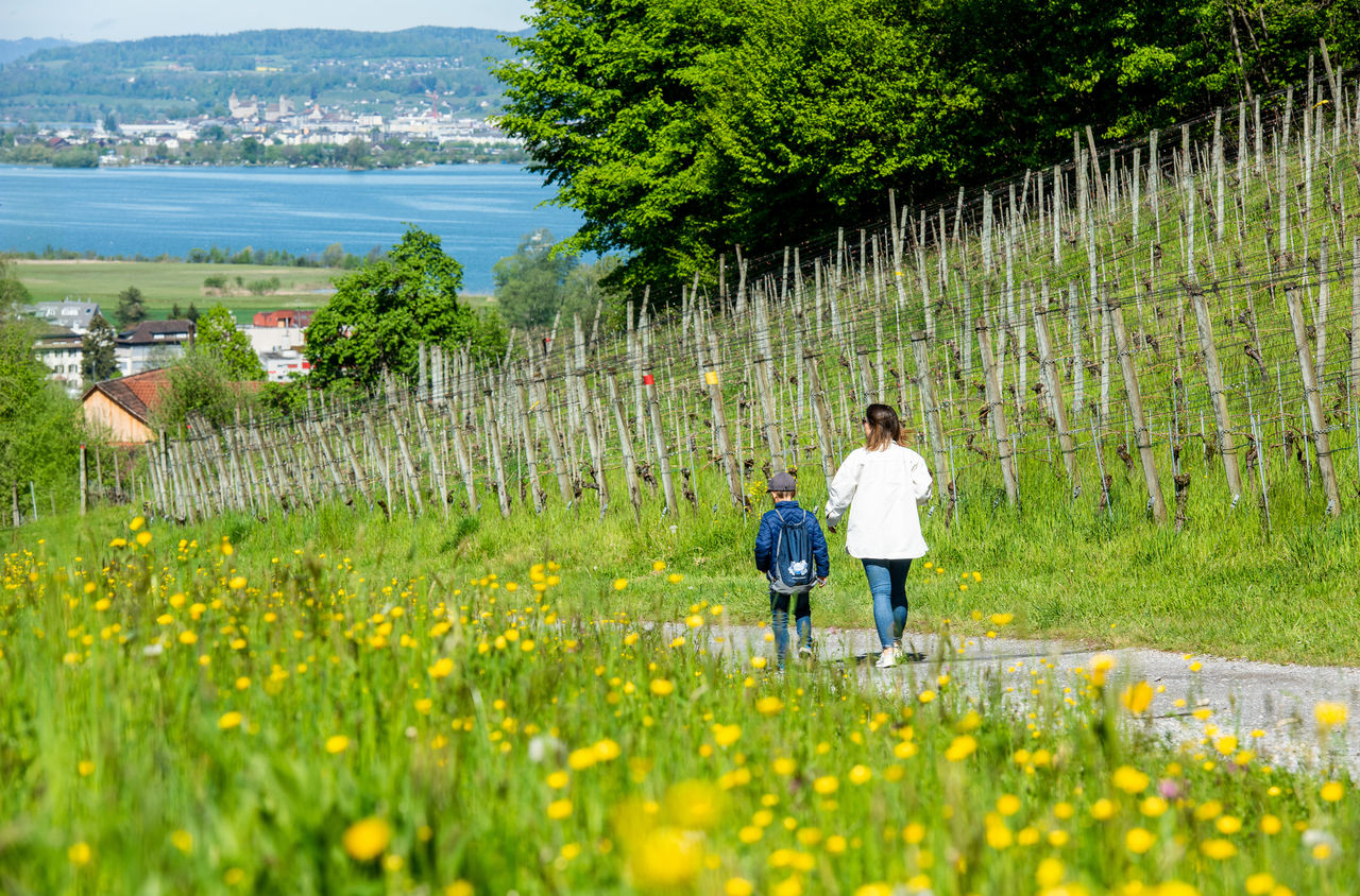 Eine Frau und ein Kind spazieren durch eine frühlingshafte Landschaft.