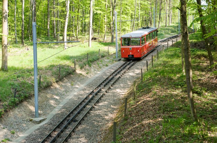 Die Dolderbahn Zürich fährt durch die grüne Landschaft