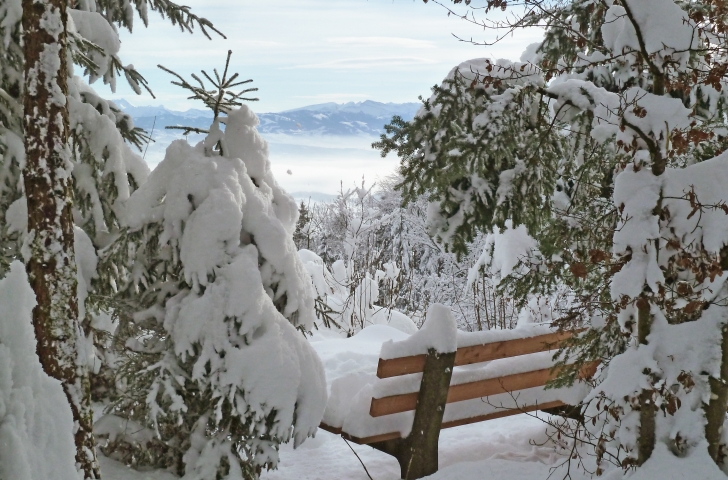 Eine idyllische Winterwanderung auf der verschneiten Forch bietet tolle Aussicht. 