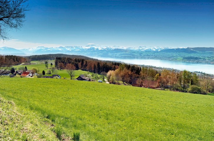 Aussicht auf den Zürichsee vom Fusse des Pfannenstiels