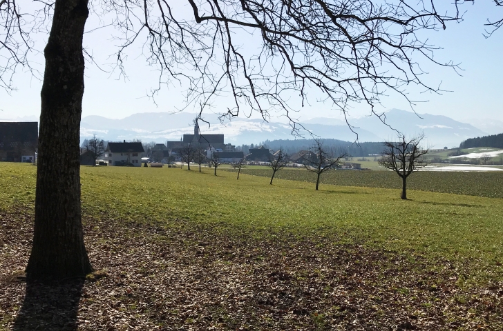 Sicht auf das Kloster und die Berge auf dem «Umweg» am Albis