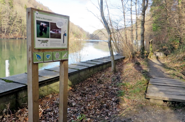 Am Rhein entlang führt der WWF-Biberpfad mit anschaulichen Informationstafeln.
