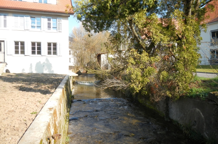 Bach auf der Wanderung von Bassersdorf nach Wülflingen