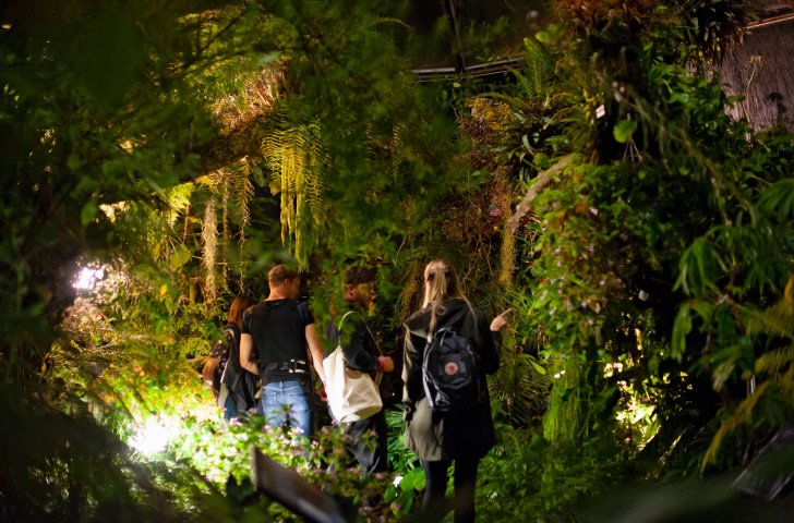 Besucher im botanischen Garten Zürich an der langen Nacht der Zürcher Museen