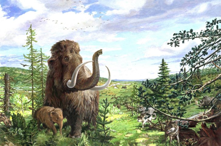 Wandbild im Mammutmuseum Niederweningen 
