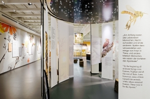 Ausstellung «Über das Bienenwissen von Ayoréode» im Völkerkundemuseum Zürich