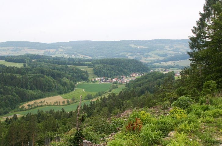 Aussicht auf Wald und Felder auf der Wanderung von Bachs nach Kaiserstuhl